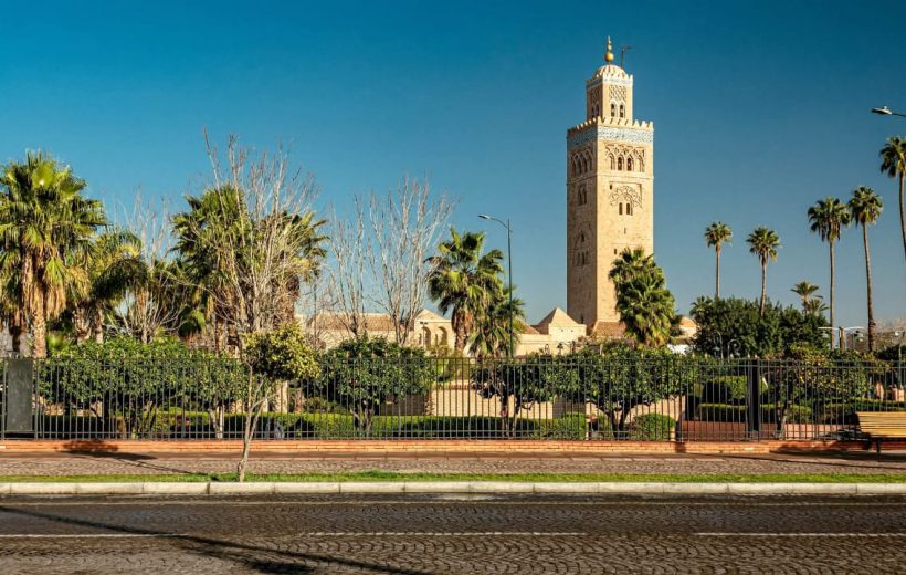 Camel Ride Tour In Marrakech Palm Grove Including Moroccan Mint Tea