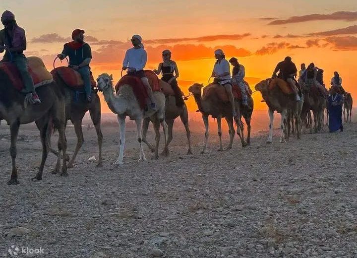 Desert Night Experience in agafay