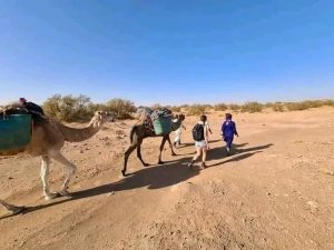Trekking And Hiking Tour In Sahara Desert From Marrakech In 4 Days